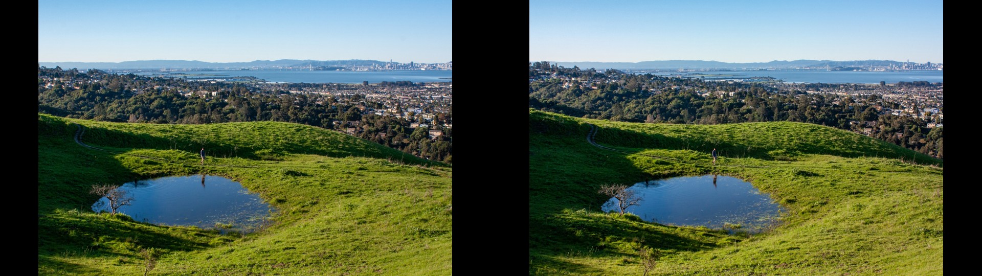 Vernal Pool, Wildcat Canyon